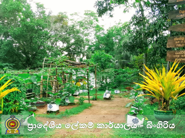 அலுவலக தோட்டம்